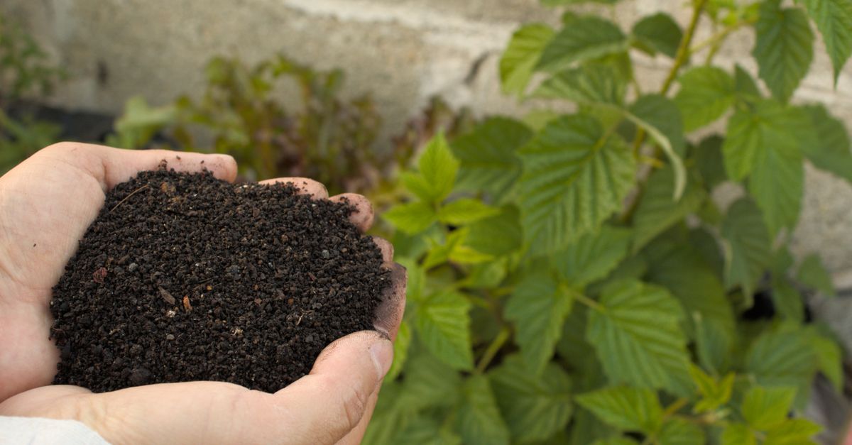 Hands with gloves turning soil in a vegetable garden bed