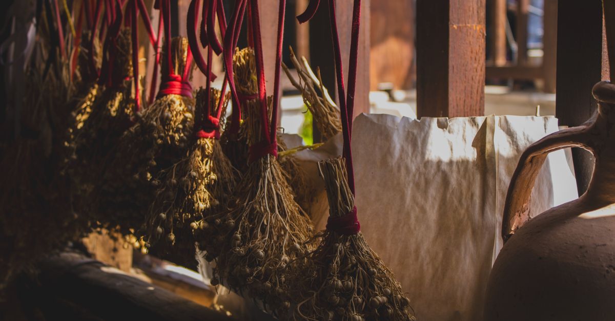 Bundles of aromatic herbs hung up to dry