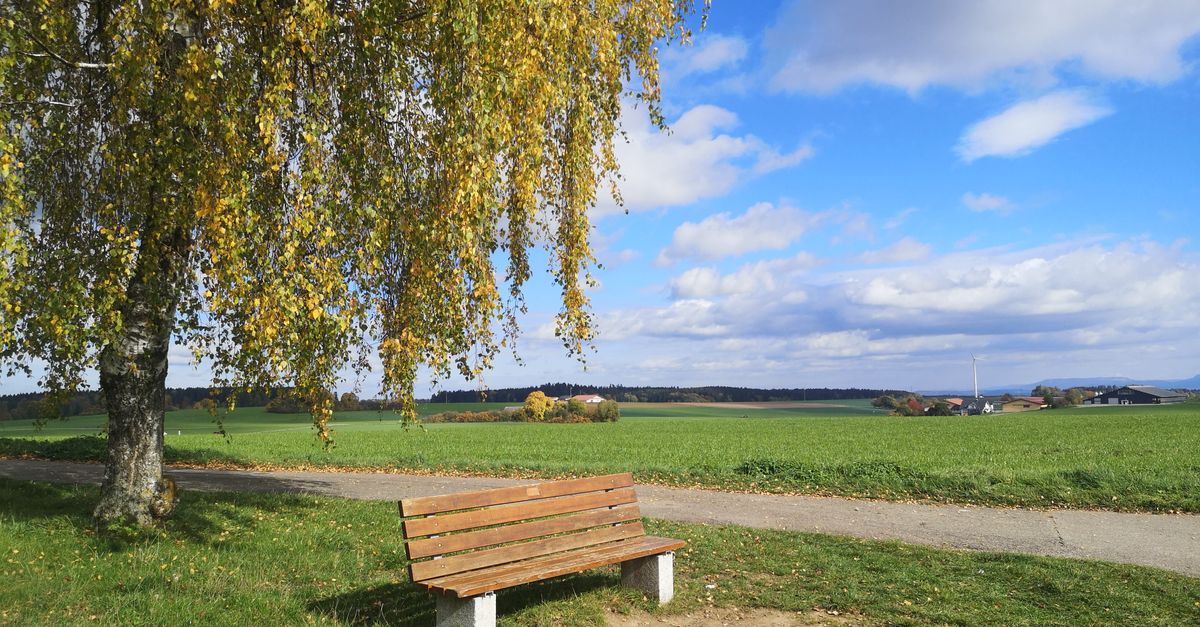 Person resting on a wooden bench in front of a rural landscape