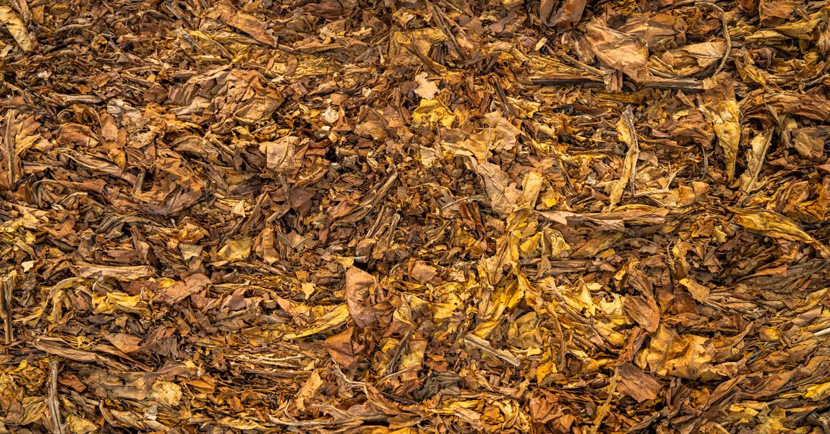 Compost pile with plant scraps and dry leaves in a yard