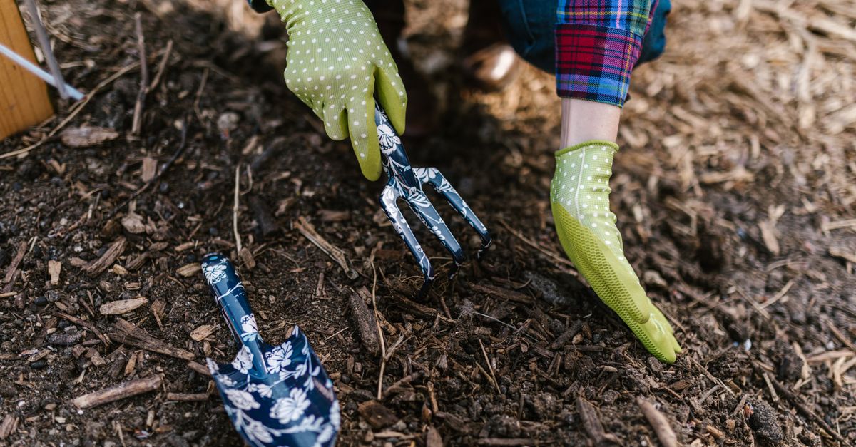 Hands with gloves turning soil in a garden bed